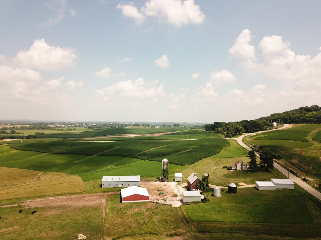 Rural Landscape